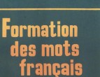 ﹹʷ PDF