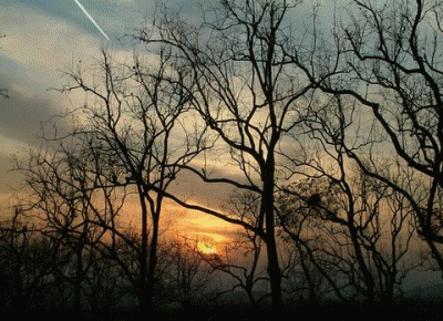 201410291443287596.gif