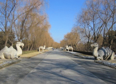 201410291428393782.gif